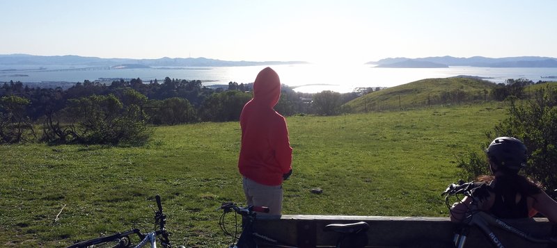 San Francisco Bay from Wildcat Canyon Regional Park.