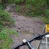 Wildcat Gorge Trail creek crossing.