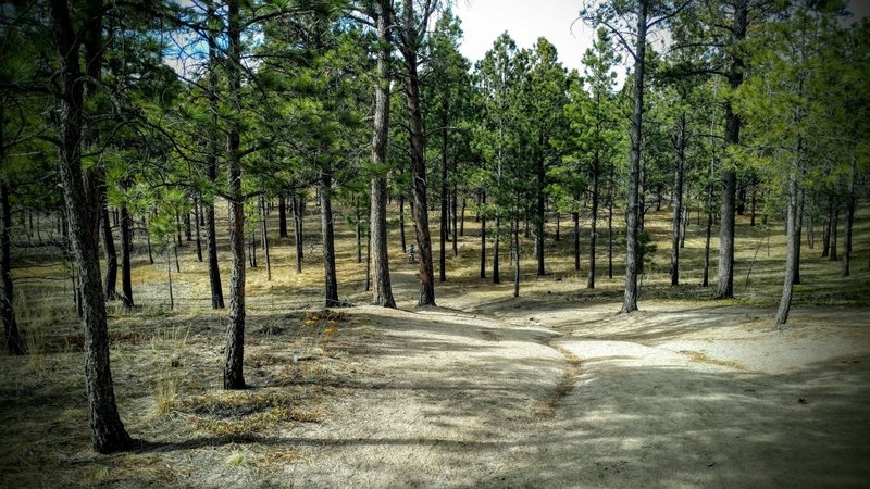 Counterclockwise route makes for only one side (east) of continuous uphill, followed by three sides of downhill or relatively flat sections.