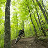 The upper reaches of The Flow on Brockway Mountain.