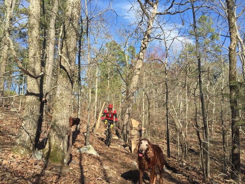 One of the first to ride Gary's Little Lamb - this picture is near the creek crossing.