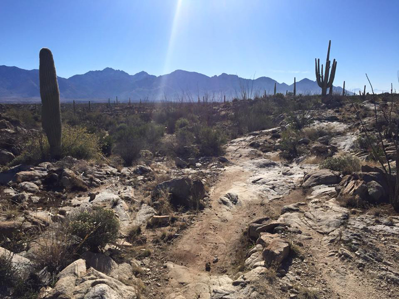 One of the rockier sections of the trail so don't stare at the gorgeous views too long.