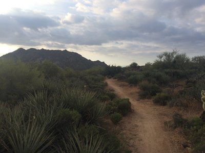 Rolling singletrack.