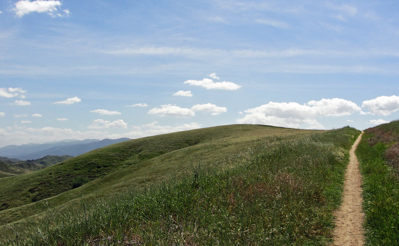 Nice warm up climb on the Bane Ridge doubletrack, headed for the crest.