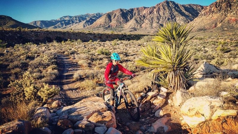 Start of Daytona trail after the drop in the wash