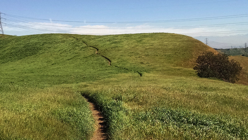 Fun and flowy Raptor Ridge!