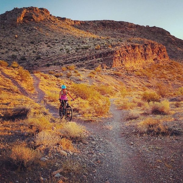 Sunset summer ride, near where the trail forks to Molly's and Puke Hill.