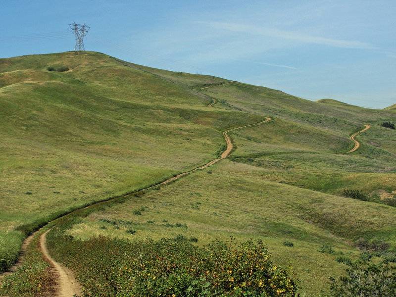 Stay left at the fork to stay on Southridge for the burly climb up San Juan Hill. The 360 degree view of SoCal from the top is the pay-off; not to mention the descent on Bovinian Delight!