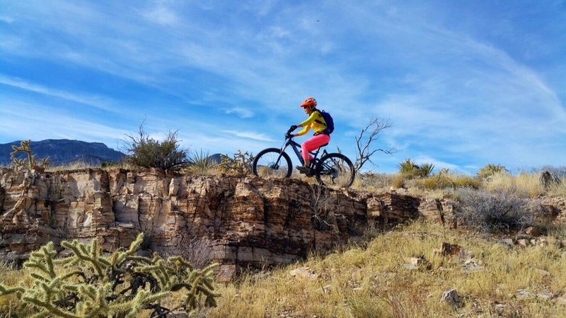 Riding Techno trail in technicolor.