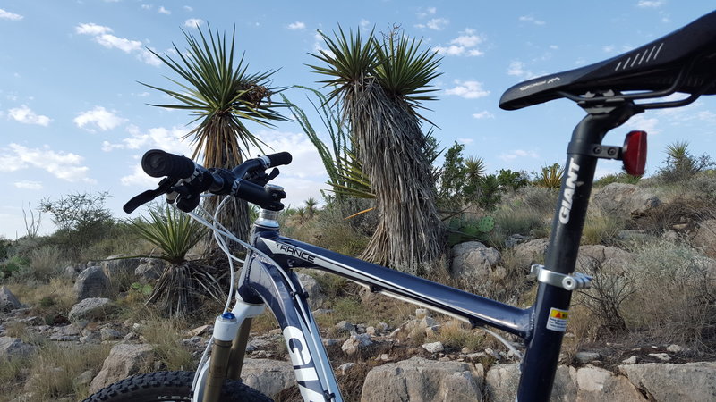 Really cool trail if you live in West Texas or Southeast New Mexico. Accessible and not too much of a drive.