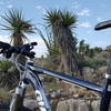 Really cool trail if you live in West Texas or Southeast New Mexico. Accessible and not too much of a drive.