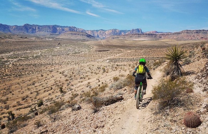 A lot of drops going down Good Call Trail.