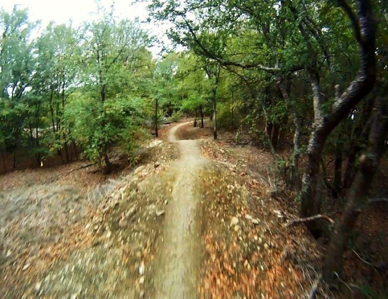 Rolling singletrack on Arbor Hill.