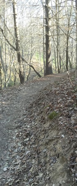 Giles Loop facing north.