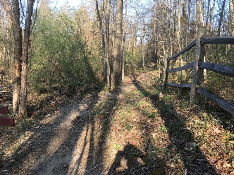 Giles Run looking north.