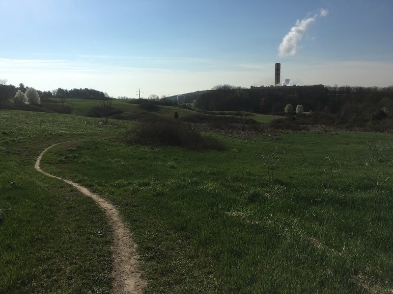 Laurel Hill taken in March 2016. Verdant, flowing hills with the smell of wild green onions hanging in the air. This was a fun, quick (and therefore fleeting) part of the trail.