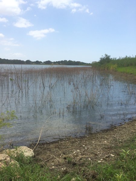 View of Lago Ponceña