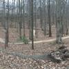 You'll see this view shortly after cresting the first hill on the Power Station Loop. There's a similar photo submitted by another user which, together, illustrate the fluid architecture of this trail system.