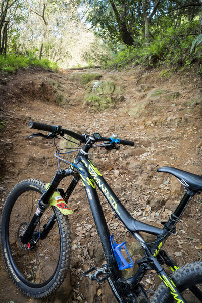 Joaquin Miller - Chaparral Trail.