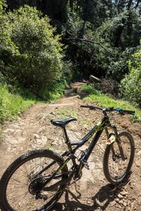 Chaparral Trail Mountain Bike Trail Oakland California