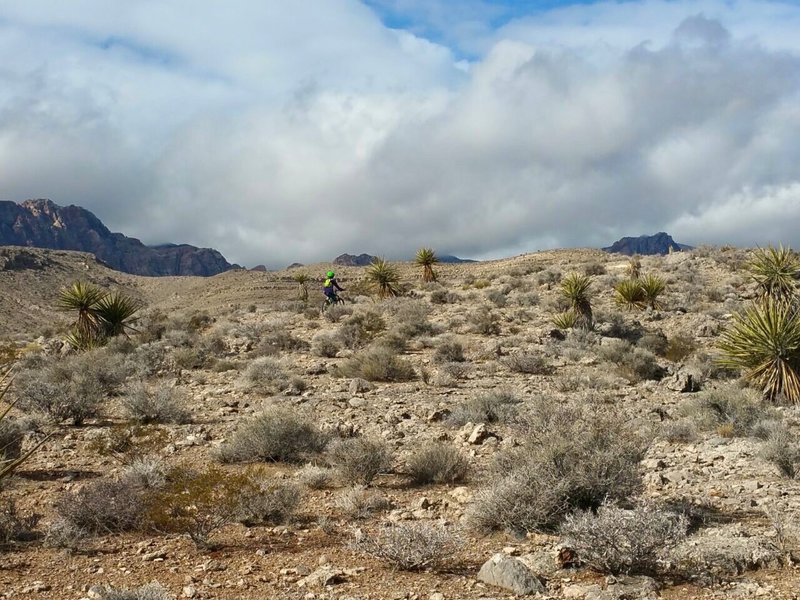 Climbing to reach the clouds over Cottonwood Valley.