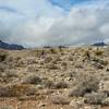 Climbing to reach the clouds over Cottonwood Valley.