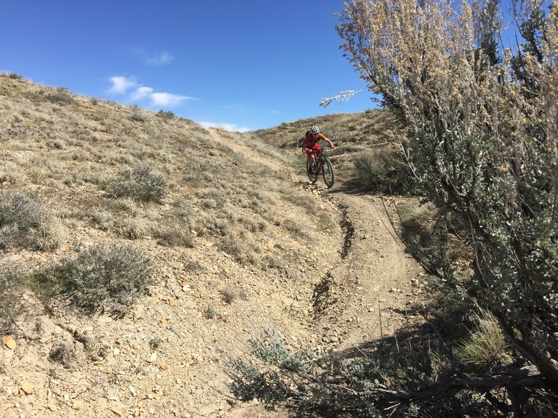 One of probably two fun descents on this trail.