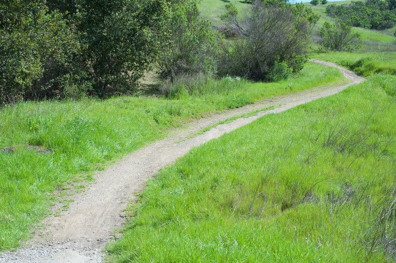 The trail is crushed gravel as it works its way up from the Juan Bautista de Anza Trail.