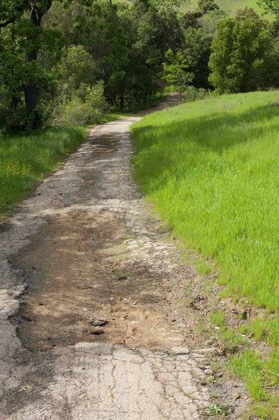 As the trail descends to the lake, the trail returns to an old road that is deteriorating.