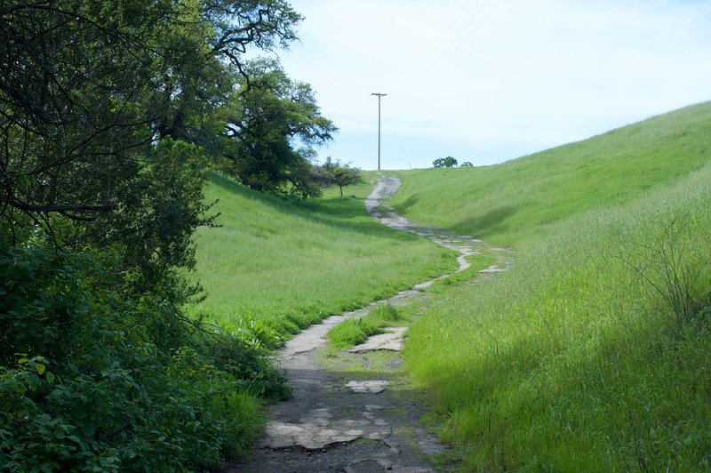 The old road as it climbs up the ravine.  You can see where the concrete is deteriorating as the years pass.