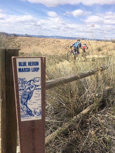 The start of the Blue Heron Trail near the southwest side of the campground