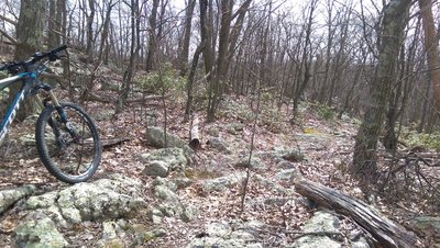 There are some very challenging sections on this trail.