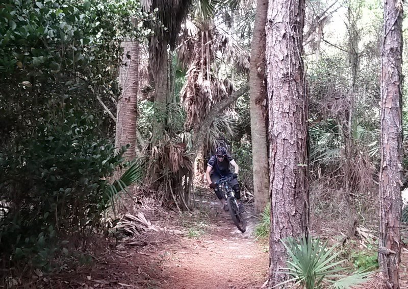 Continuous speedy singletrack. Rip around those corners and say AHHH!