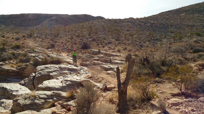 Before the BFR you have to ride these rocks on north Landmind Loop.