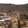 Before the BFR you have to ride these rocks on north Landmind Loop.