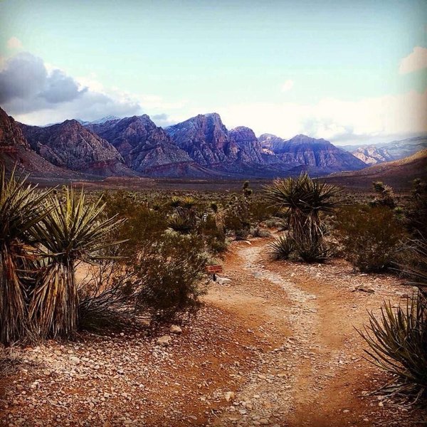 Red Rock Vista.