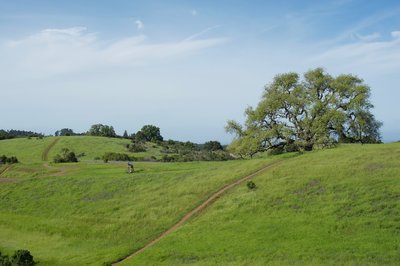 A mountain biker heads off to the Bowl Loop Trail Alternative after completing Bowl Loop.