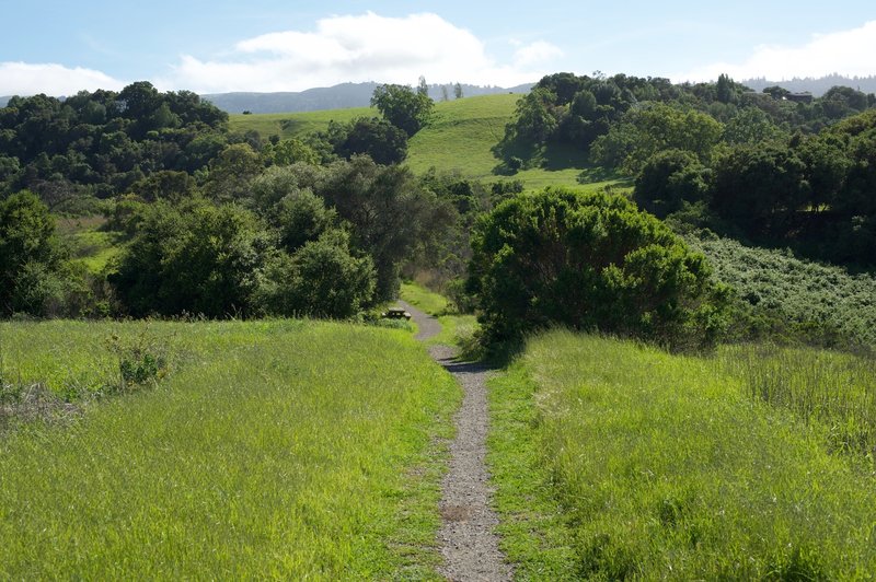 The trail is a singletrack gravel path that leads out to Vista Point. There is a picnic table just off the trail for people wanting to grab a bite to eat.