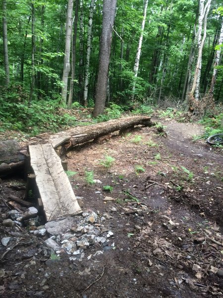 Optional log ride on Lost Trail, built the summer of 2015 by Fellowship of the Wheel.