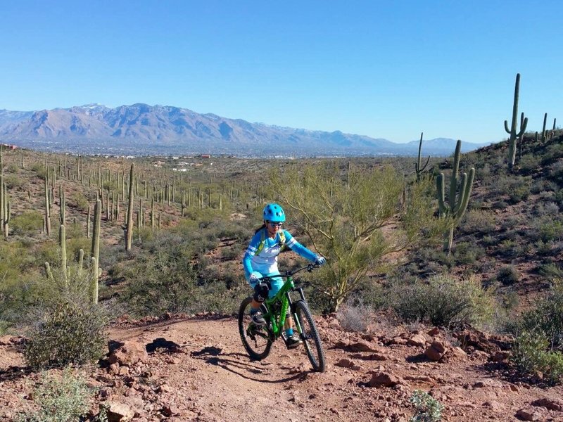 A little bit of climb will give you the Tucson Vista and Catalina.