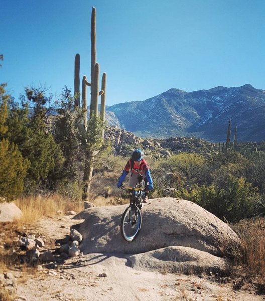 A lot of big Rocks to play with on these trails.