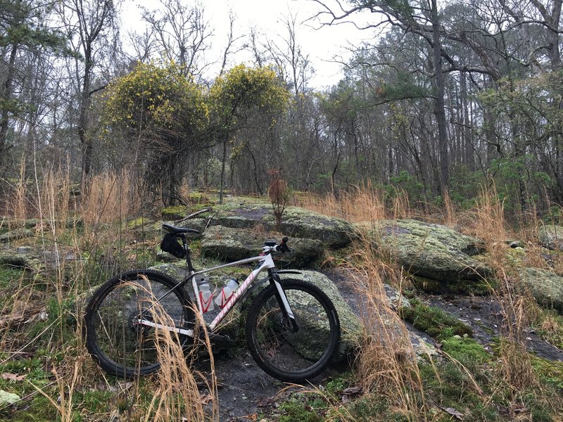 Rock outcrop at the top of the Big Ridge.