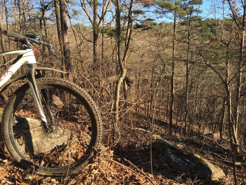 Top of 5 Turn Hill, so named because of the 5 switchback. Open hardwood forest, great vista.