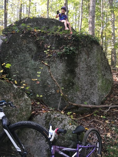 The first rock outcrop on the Yellow Trails, makes a good rest area for new or younger riders. Turn around here for a 3.5 mile ride.