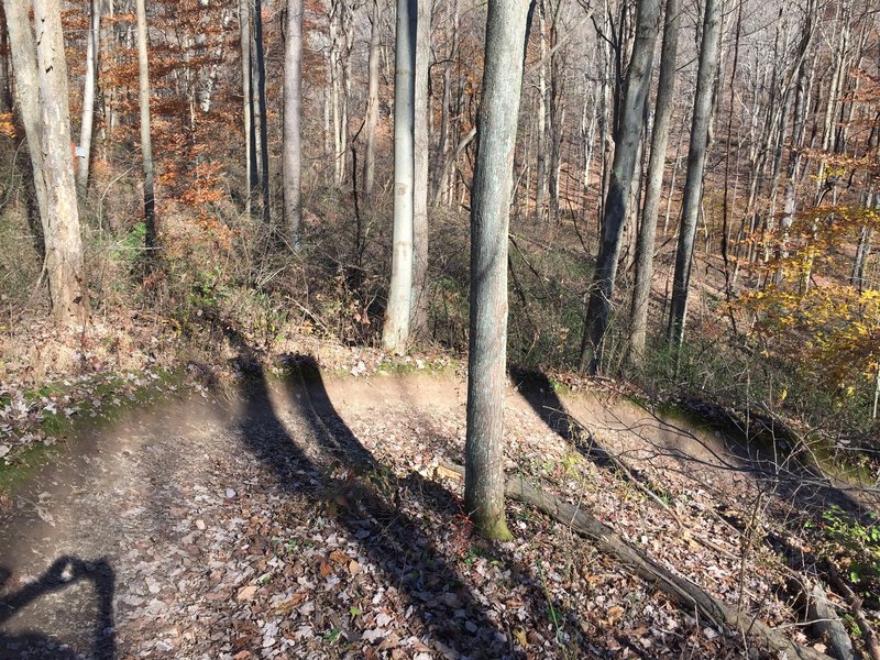 Banked berm along the Cheeky Chipmunk Trail.