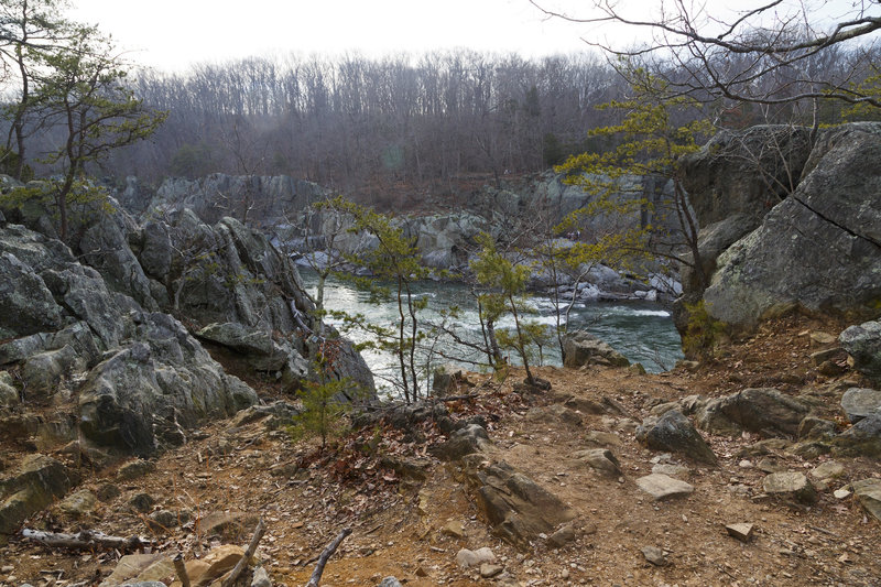 Beautiful views of the Potomac can be had from River Trail.