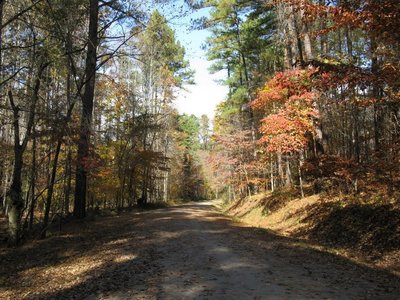 Graylyn Multiuse Trail.