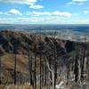 Overlook into Waldo Canyon, with evidence of the wildfire in 2012.