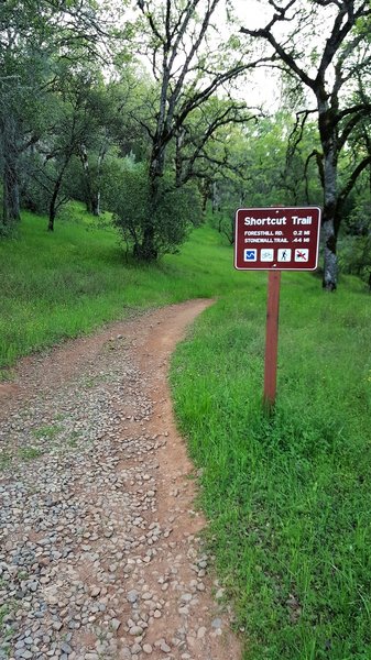 Start of the Shortcut Trail at the junction with the Fire Break Trail.