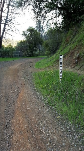 Beginning of the Stonewall Trail which is an old wagon road.